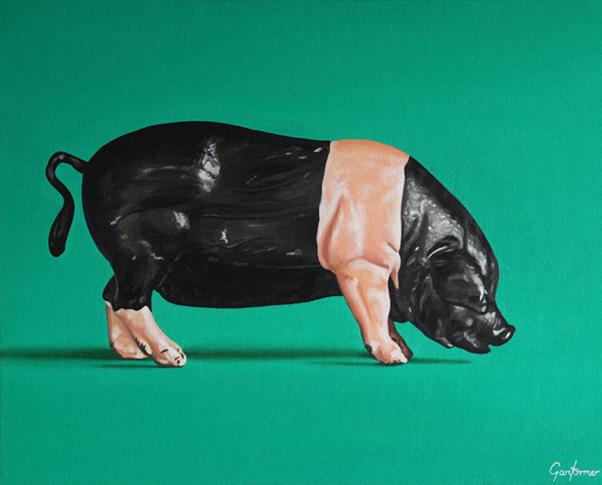 Stayed home pig oil painting by Gary Armer